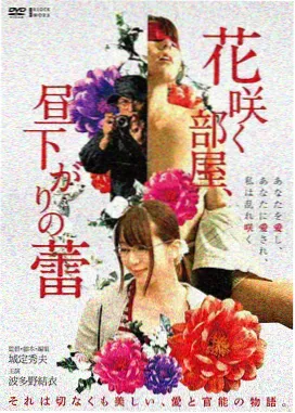 台湾修复伦理片 岛屿来信 海报